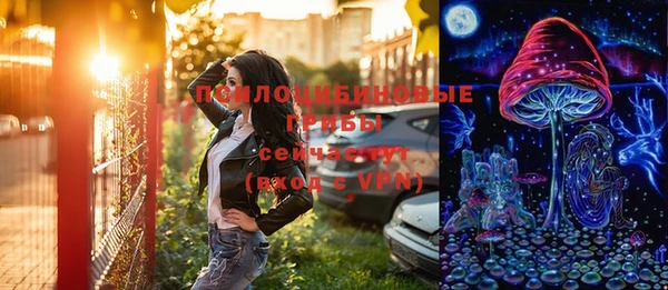 дживик Алексеевка