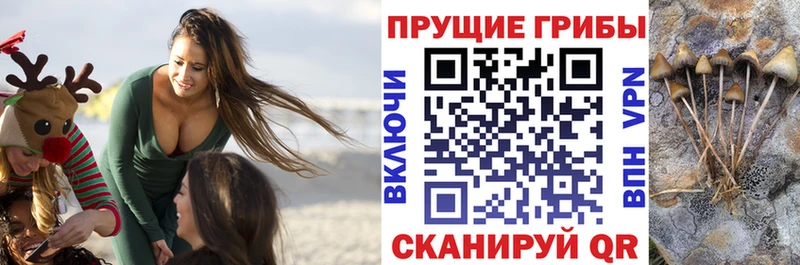 даркнет сайт  Якутск  Псилоцибиновые грибы мицелий 