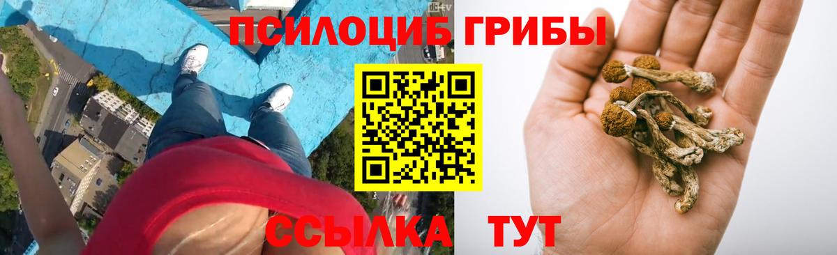 Галлюциногенные грибы ЛСД  Вход с VPN  магазин продажи наркотиков  Якутск  Галлюциногенные грибы GOLDEN TEACHER 